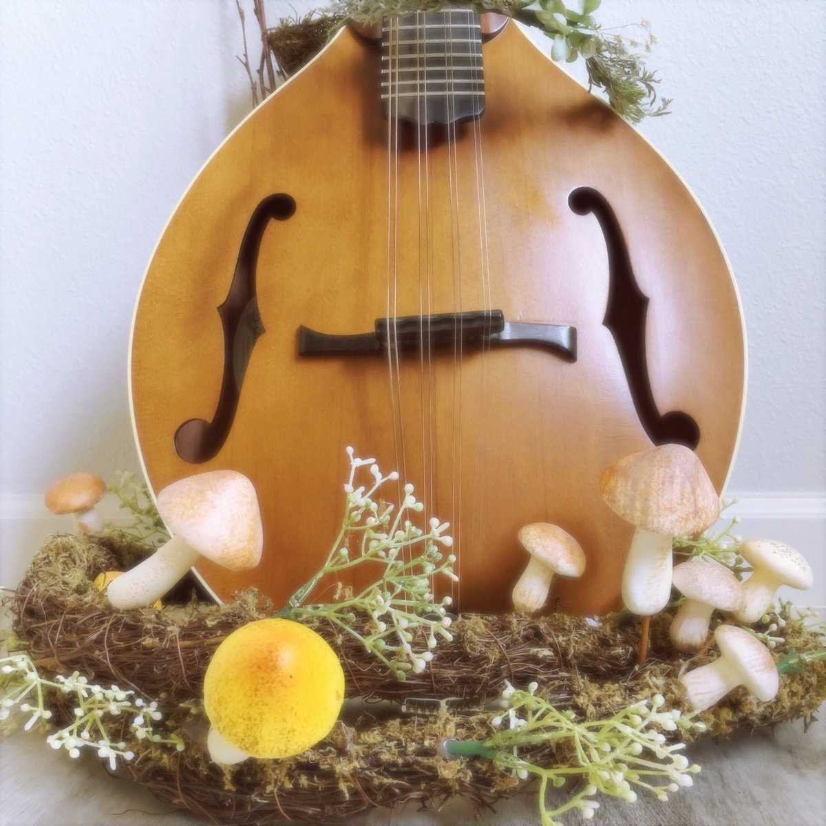 ‘She invited me in to her Faerie ring
She asked me did I dance or sing
I said I’d sung from Connemara to Kathmandu
She took my hand in a manner serene
And gave to me this plectrum green
The sweetest neatest thing I’d seen
And with a “pling” to my fingers it flew.’ -<a href="/andyk_irvine/">Andy Irvine</a>