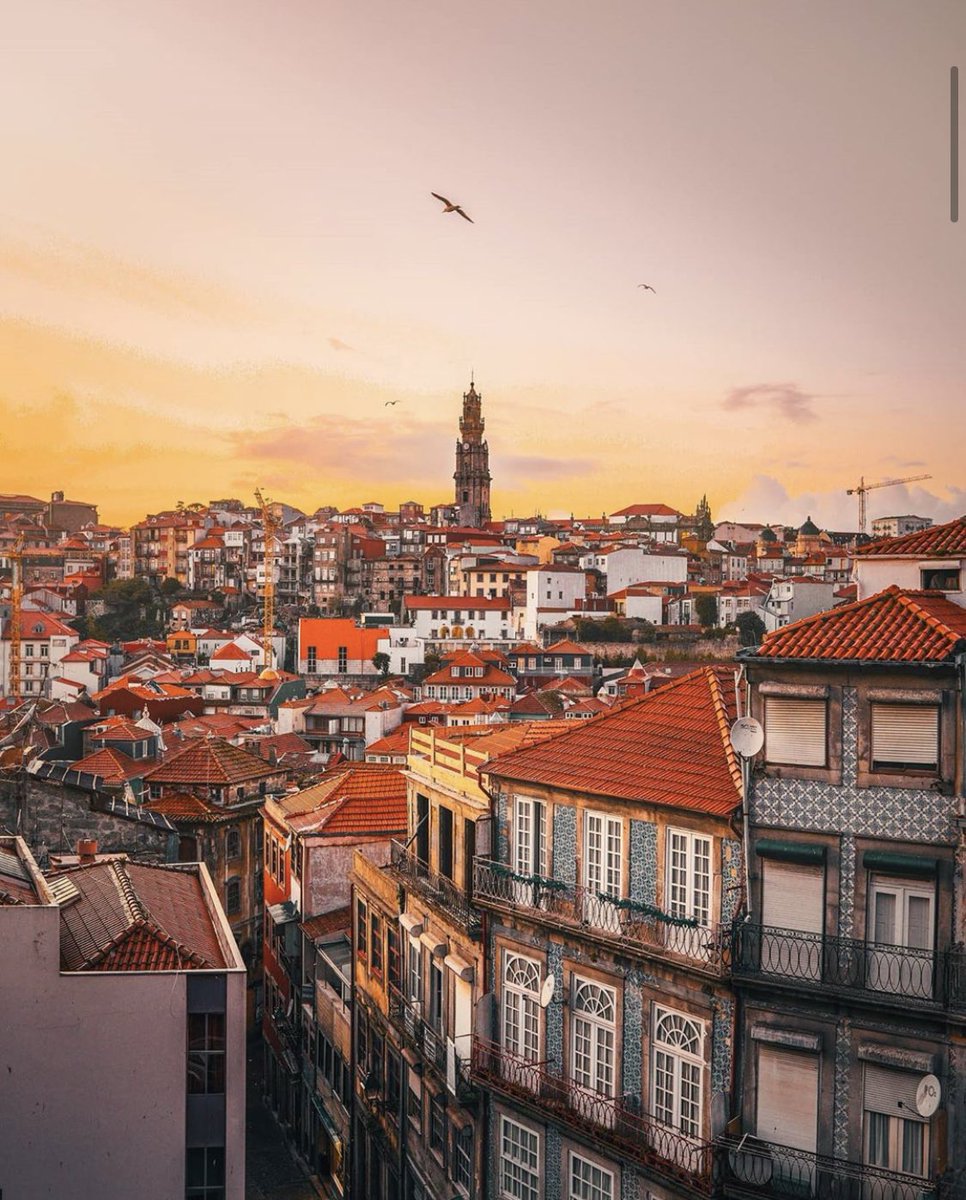 TourAzores's tweet photo. Porto views 😍🥰⠀
⠀
📷: @mr.goldenhour_⠀

#mrgoldporto #porto #portugal #view #travel #comeexplorewithus #sunsetshots #bestshots #tourazores #tours #touroperator https://t.co/Ou0Kx5ZxP6