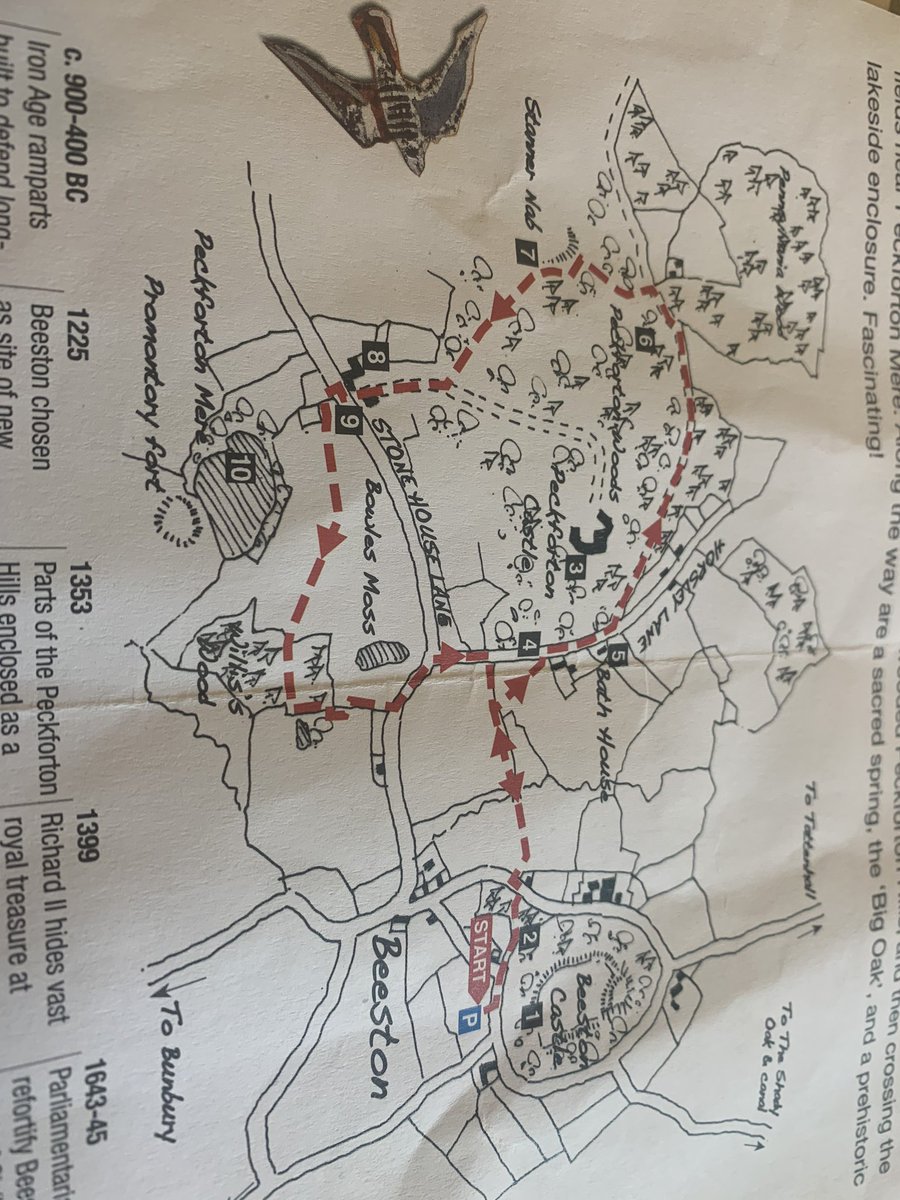 samhayes_physio's tweet photo. #anotherwalk - poor kids!
#AHPsActive https://t.co/SQacSelBca