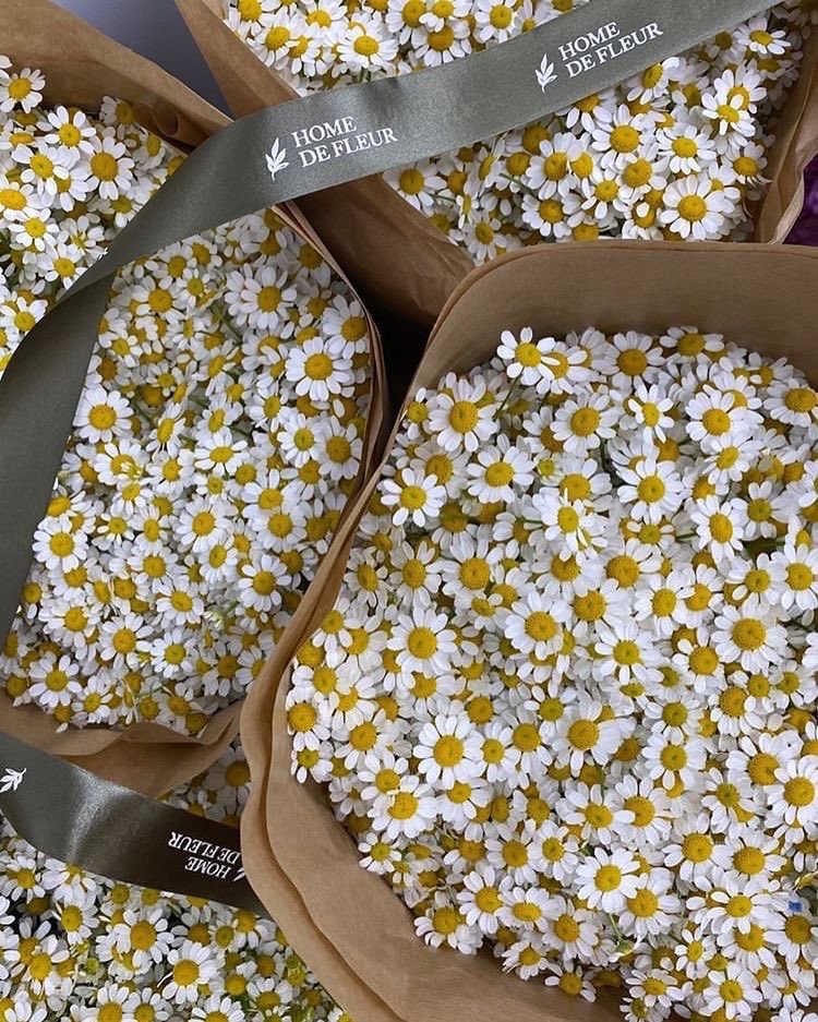 llncai's tweet image. 