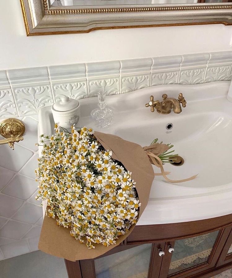 llncai's tweet image. 