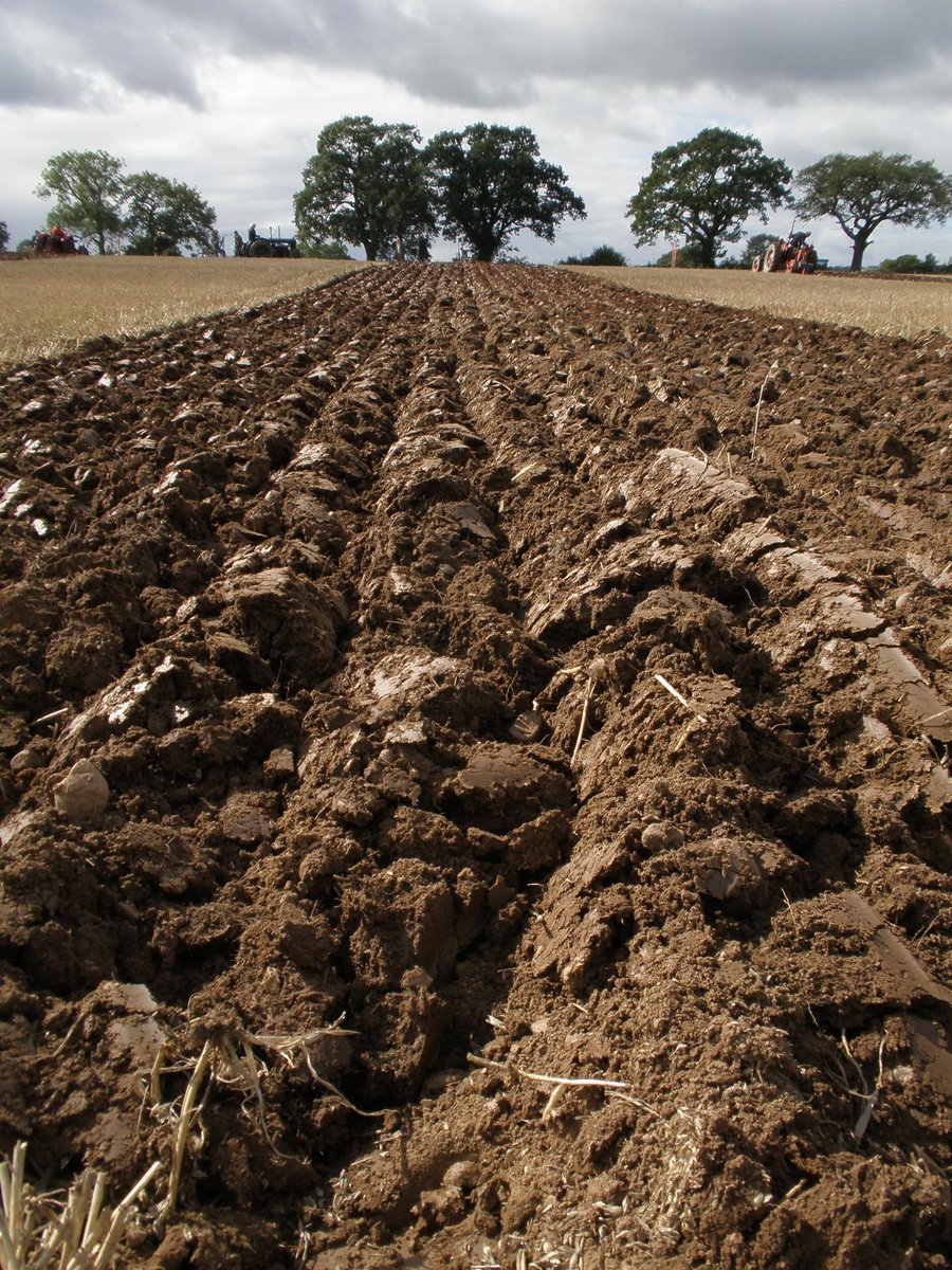 OrganicCenter's tweet photo. HOT SCIENCE: Organic farming supports important soil bacteria communities that break down toxic heavy metals in soil. Conventional soils found to contain more heavy metals. https://t.co/zDLhjwpwHN