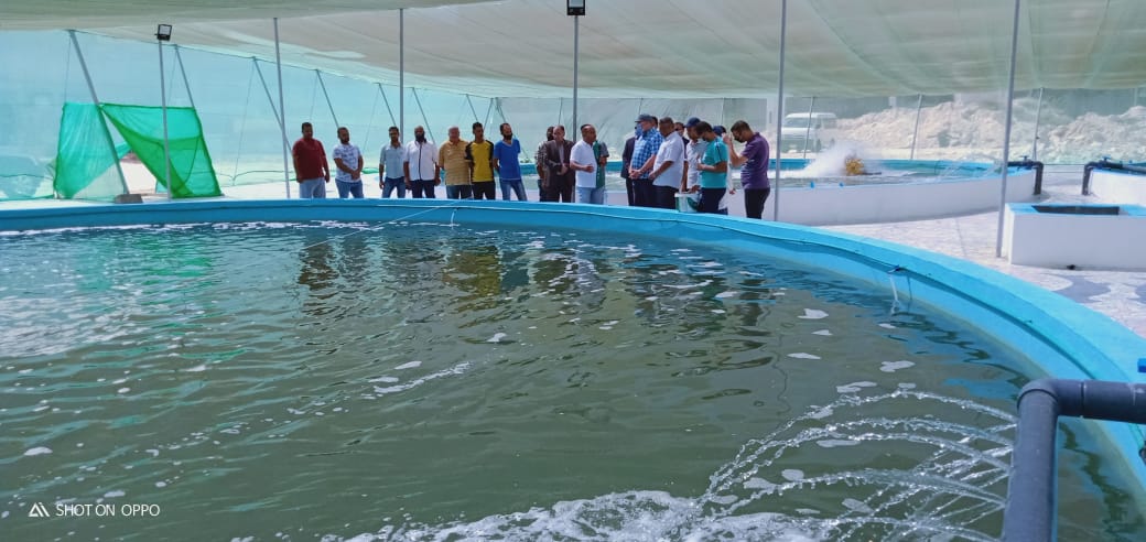 AFD_France's tweet photo. #Egypte Le Ministre de l’agriculture et de la bonification des terres inaugure une ferme aquacole. Avec l’@UEinEgypt, nous appuyons les #PME #agricoles. Objectif : augmenter les revenus des agriculteurs notamment dans les filières #lait et #aquaculture. #partnerwithFrance https://t.co/9FUEhJqLhr