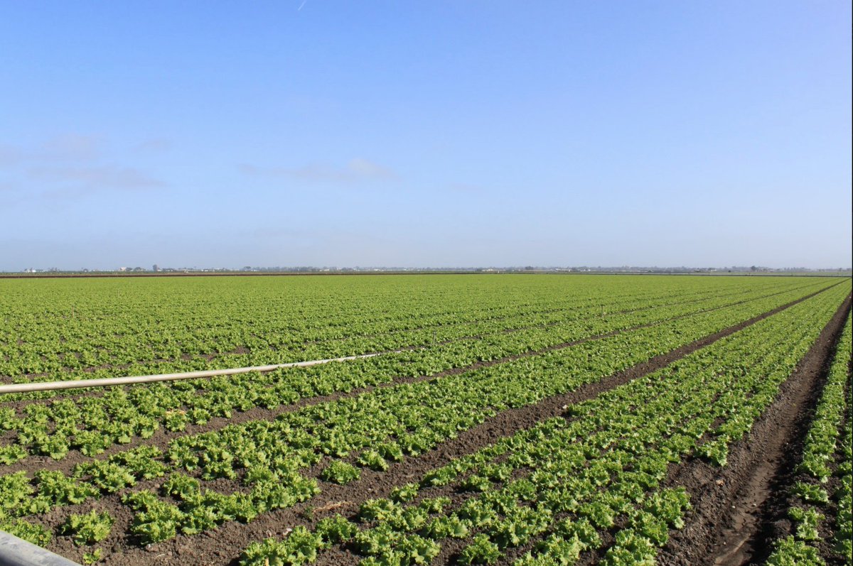 FarmWiseLabs's tweet photo. #AgTech adoption is a hot topic, writes @Willie1701A. Nearly 1 in 8 respondents to a Farm Progress Panel say they're fast at adopting new #tech. Almost half say they quickly get on board with new tech after hearing reviews or advice from other farmers. https://t.co/Ex9CmNvD4d https://t.co/3hvg2eQwNi