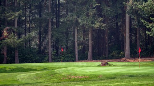 Today we are featuring Battle Creek Golf Course, Tulalip WA. There is a Championship Course & Par 3 Course. Golfers from beginner to expert welcome. Beautiful views throughout the course. #golfing #PlayPNW #TulalipWA #MarysvilleWA #SnoCoSports #Funinthesun
ow.ly/U5xt50AVw4Y