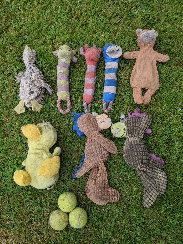 ashleighfen's tweet image. Spring cleaning the back of the jeep 😂 #dogheaven