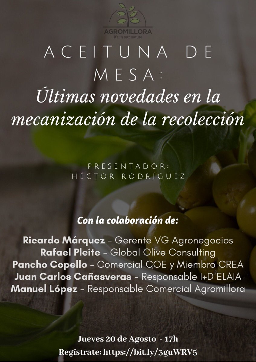 Global Olive tweet media
