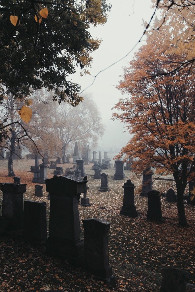 Slasherxgore's tweet photo. 🎃🍂 https://t.co/M44AxFDCcb