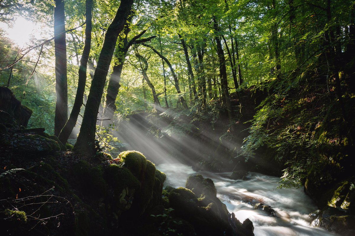 jonlingwood's tweet photo. A special place
#northwales #torrentwalk #brithdir #RiverClywedog #snowdonia #river #woodlands #wales #rayoflight #photography #nature #naturephotography #landscapephotography #trees #sunlight https://t.co/f0eXmB1fEU