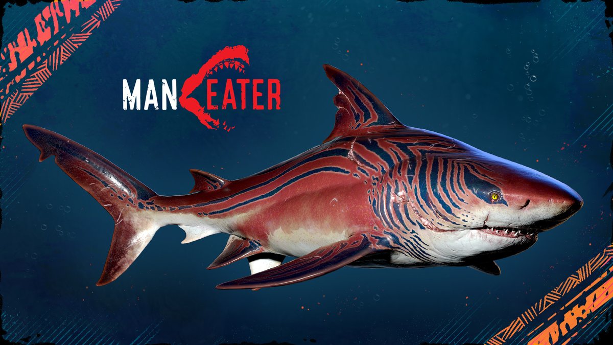 Swim as the shark in 'Maneater