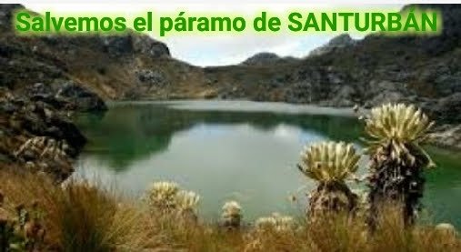 LATIGOURIBESTIA's tweet photo. @ElQueLosDELATA @magnoliasan22 Esta nueva Colombia,también tiene que pensar en su ecología,y en la salvación del medio ambiente,los humanos y los seres vivos;respiramos oxígeno y tomamos agua,las planta un poquito lo contrario respiran co2 y nos dan oxígeno;cómo vamos a permitir que se nos acaben este páramo.! https://t.co/2ZqUMN6xhw