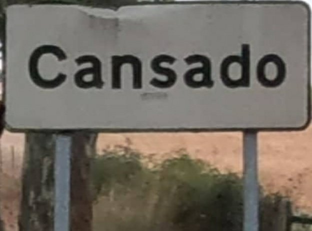 onelsonarrifes's tweet photo. Amor, estou cansado de teimosas, está bem? https://t.co/qmJZN7BWD2