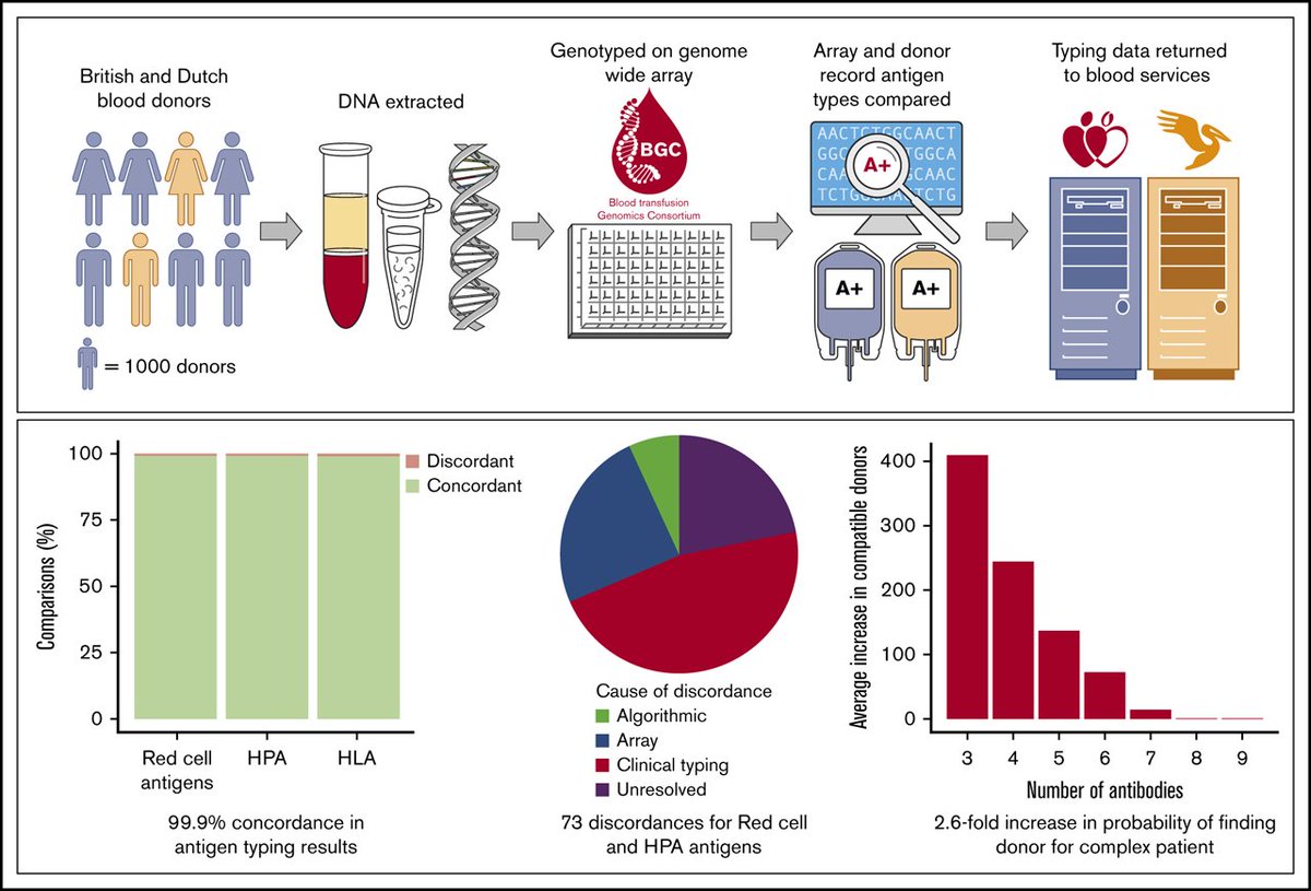 "The Development and validation of a universal blood donor genotyping platform." doi.org/10.1182/blooda…
Blood Transfusion Genomics Consortium <a href="/BrighamResearch/">Brigham and Women’s Research</a> <a href="/BWHiHub/">Brigham Digital Innovation Hub</a> <a href="/harvardmed/">Harvard Medical School</a> <a href="/NYBloodCenter/">NY Blood Center</a> <a href="/BloodExperts/">New York Blood Center Enterprises (NYBCe)</a> <a href="/Cambridge_Uni/">Cambridge University</a> <a href="/sanquin/">Sanquin</a> <a href="/thermofisher/">Thermo Fisher</a> - <a href="/NGleadall/">nick gleadall</a> <a href="/bloodantigens/">William Lane, MD, PhD</a>