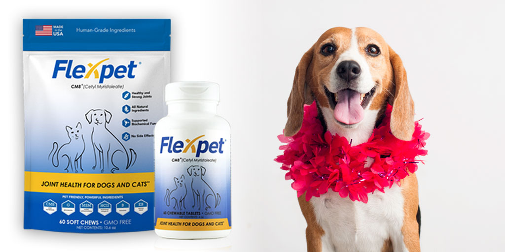 Flexpet is an all-natural joint supplement containing Cetyl Myristoleate designed to provide maximum joint health for your dog. 
#jointsupplementsfordogs #jointrelief #pets #dogs #dogarthritis #doghealthcare #petcare