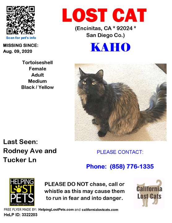 CALostCats's tweet photo. #LOSTCAT #Kaho #Encinitas (Rodney Ave &amp; Tucker Ln)  #CA 92024 #SanDiego Co. , #Lost #Cat 08-09-2020!, Female #Tortoiseshell Black / Yellow/she’s very shy and timid spayed, has a little pink toe on one of her feet, yellow-green eyes

More Info, Photos and to Contact: … https://t.co/ufbJ1y3Lle