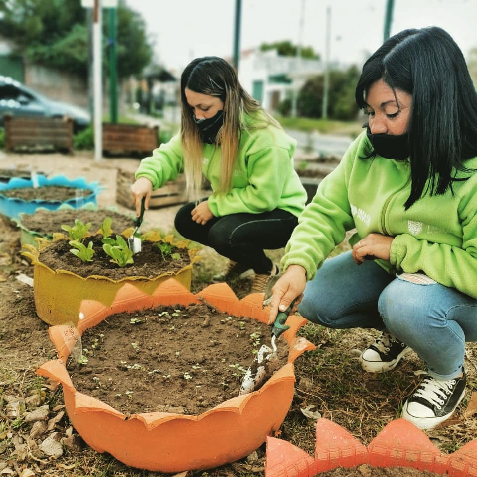 CCMJesusObrero's tweet photo. Así cuidamos la huerta, de lo que será un nuevo Centro Com. Municipal, con dirección en Menéndez y Pelayo y América, en Don Torcuato Este.
Agradecemos el trabajo desde el @imasntigre y @TigreComunidad, quiénes desde un principio se comprometieron al desarrollo de este proyecto! https://t.co/SLVMPlynVa