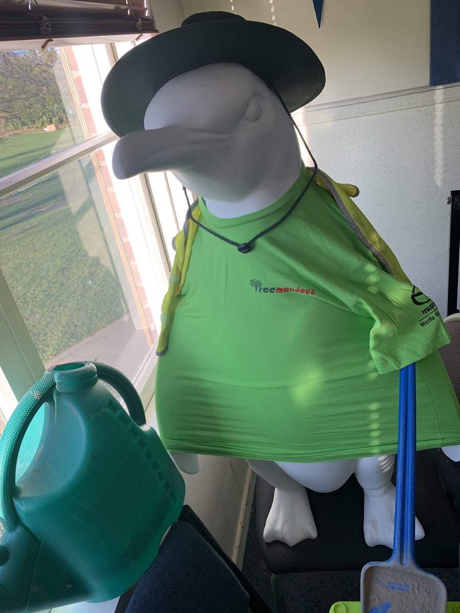 Burnside's Pop Up Penguin tweet media