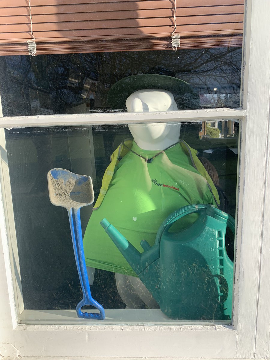 Burnside's Pop Up Penguin tweet media