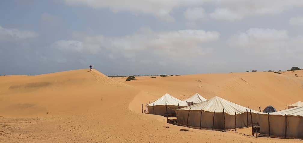 sunutrip_'s tweet photo. Retour en images de notre week-end dans le désert de Lompoul 🐪
N’hésitez pas à réserver pour notre journée aux îles du Saloum ce samedi 29 août.
#sunutrip https://t.co/ZHiJW2lBsK