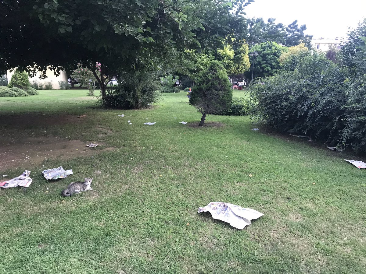 Antalya’da bir çok parkta resimdeki gibi insanların bıraktığı çöpler bulunmakta. temizlik görevlilerinin kabahati olduğuna inanmıyorum. Halk olarak cahilliğimizin karşılığı bu. Peki bu tür olayların tespit edilip ceza kesilme zamanı gelmedi mi <a href="/MuratpasaBld/">Antalya Muratpaşa Belediyesi</a> <a href="/ANTALYABB/">ANTALYA BÜYÜKŞEHİR</a>