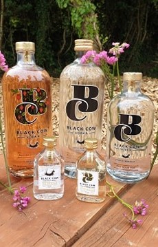 Did you know that we stock a range of the fabulous award-winning @BlackCowVodka ? 🐮🇬🇧 Being the word’s sMOOthest🐮 it is a must this summer! 😍 Order by calling ☎️ 01363 884222 to add to your order or email 📧orders@hawkridge.uk.com for more information