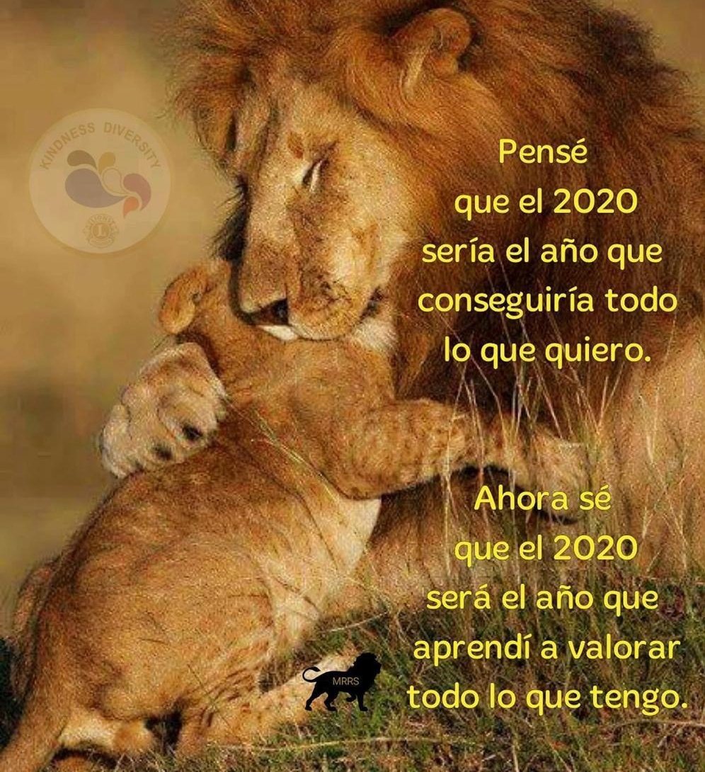 AlxQuevedo's tweet photo. https://t.co/gIdyEHwHtk