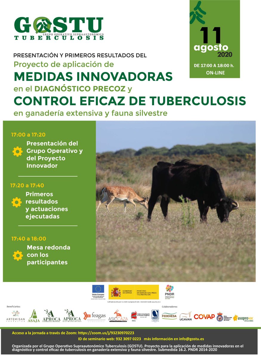 👉 ¡Recuerda! Mañana, 11 de agosto, a las 17:00 horas, te esperamos en la jornada online de Presentación y primeros resultados del proyecto del Grupo GOSTU

Acceso a la jornada a través de zoom: zoom.us/j/93230970223

ID de seminario web: 932 3097 0223