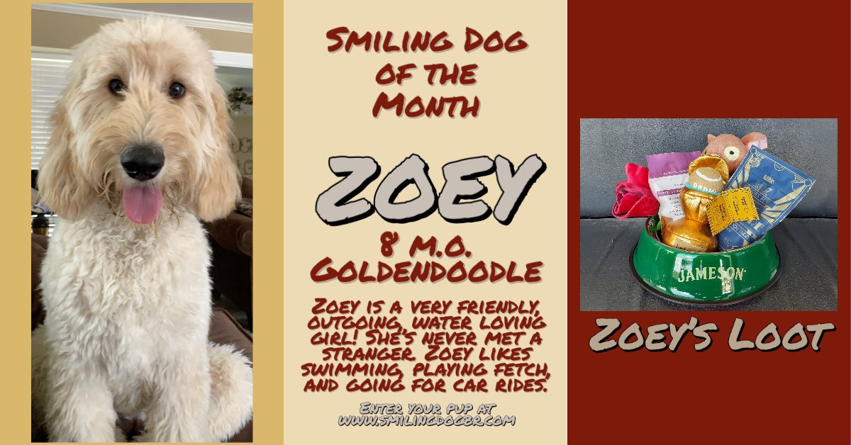 smilingdogbr's tweet photo. Congratulations to Zoey for being selected as our August Dog of the Month here at The Smiling Dog. Along with her title she will get a @jameson_us dog bowl filled with toys and treats from @Barkbox. Congrats Zoey!!
 You can enter your pup anytime at https://t.co/8rZJSMpIK4 https://t.co/Gd3l7vGgzf