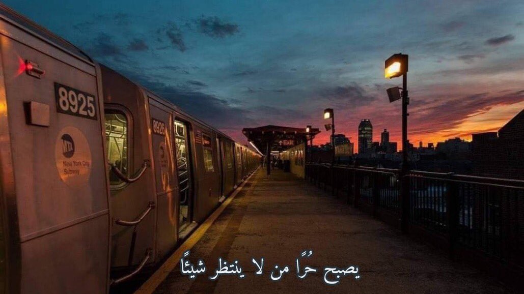 يصبح حُرًا من لا ينتظر شيئًا ."