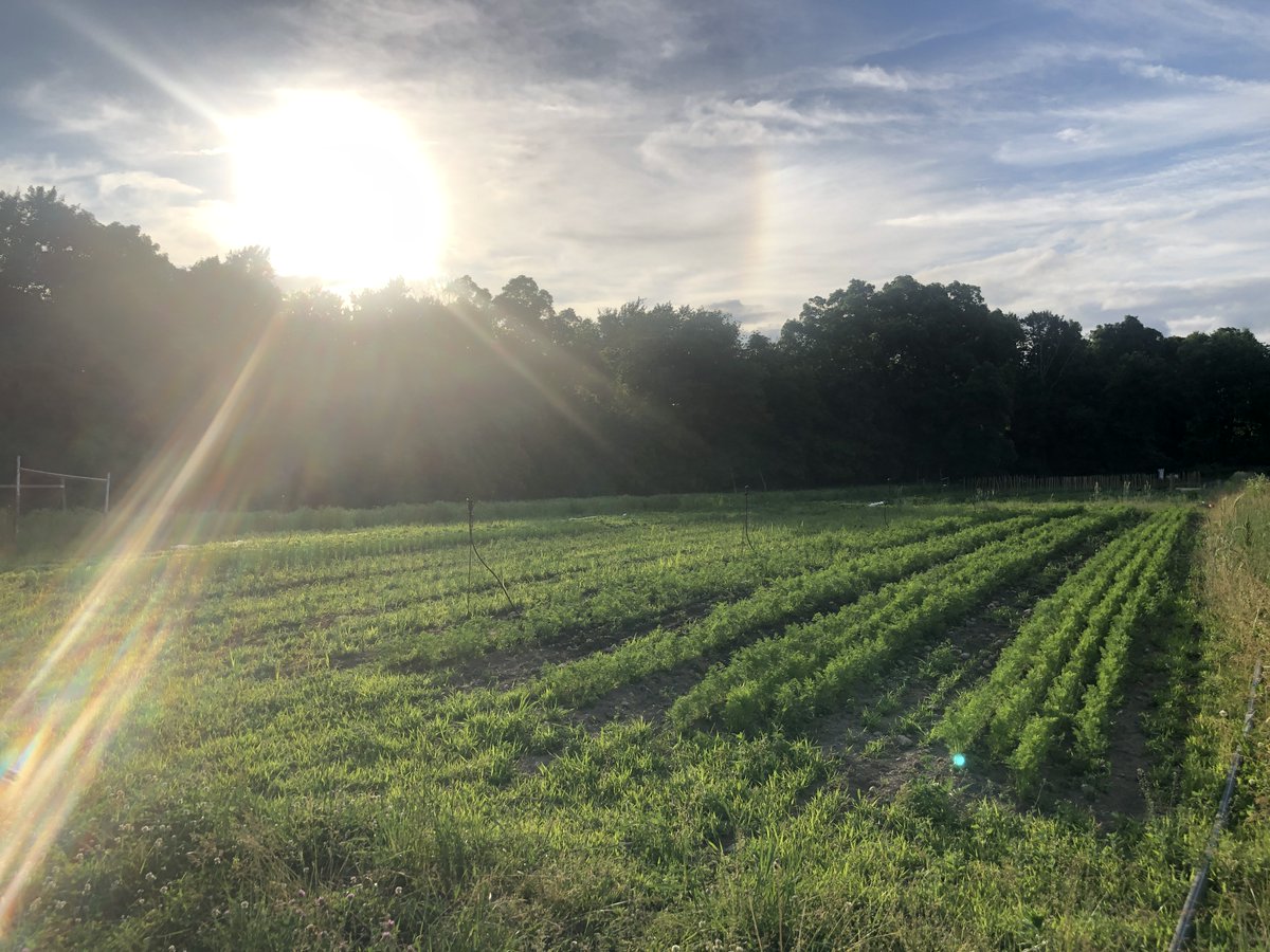 SPACEonRyder's tweet photo. "There is nothing new under the sun, but there are new suns." -Octavia Butler
.
.
.
#timeandspace2020 #smallfarmlife #trees #sunrise #octaviabutler https://t.co/b0Kmk99BI1