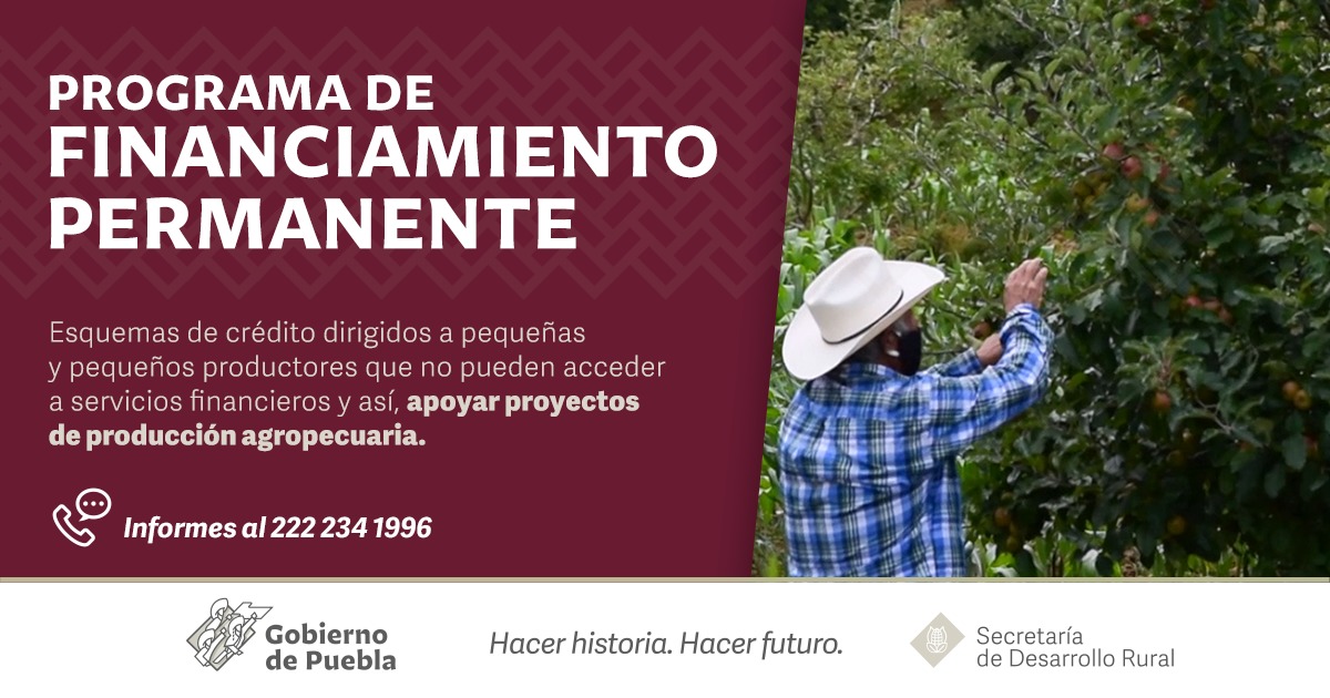 SDRGobPue's tweet photo. El @Gob_Puebla, a través de nuestra Secretaría, tiene un esquema de crédito dirigido a pequeñas y pequeños productores que no pueden acceder a servicios financieros y así, apoyar proyectos de producción agropecuaria.

Para más informes, comunícate al 222 234 1996. https://t.co/NJ7q1ZCzM8