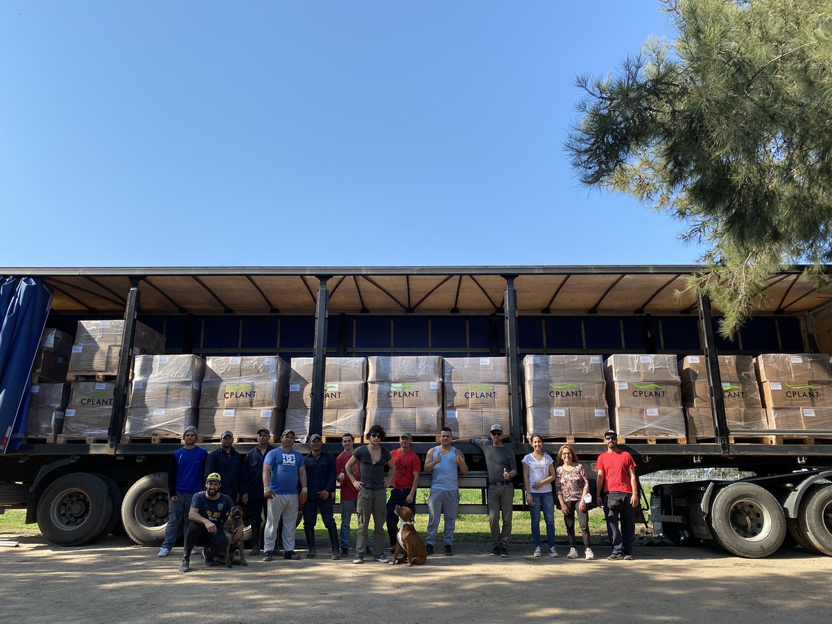 InverellSa's tweet photo. @alfrep28 @mjbizdailyintl CPlant primer exportación de flores de Cañamo industrial del Uruguay, Tala Canelones. https://t.co/3h7bDhwgun