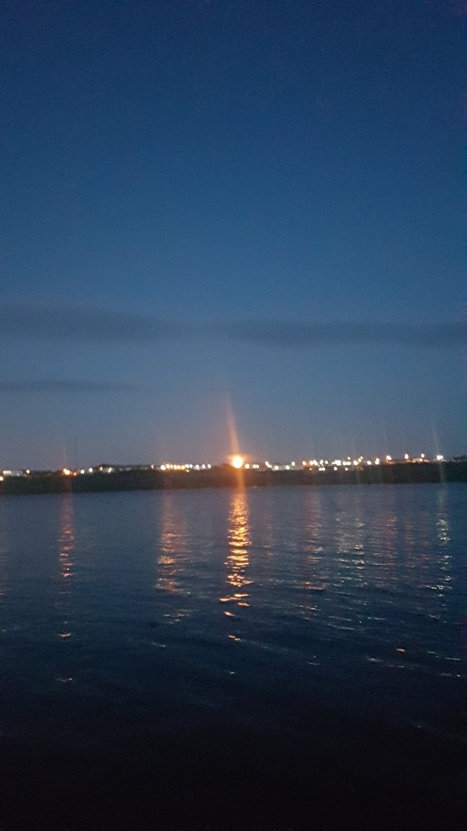 buddymom10's tweet photo. @EddieSheerr beautiful full moon coming out over Octagon Pond, Paradise.  Aug. 3/20 #stayhomeyear2020 https://t.co/d1Hcpp2o3v
