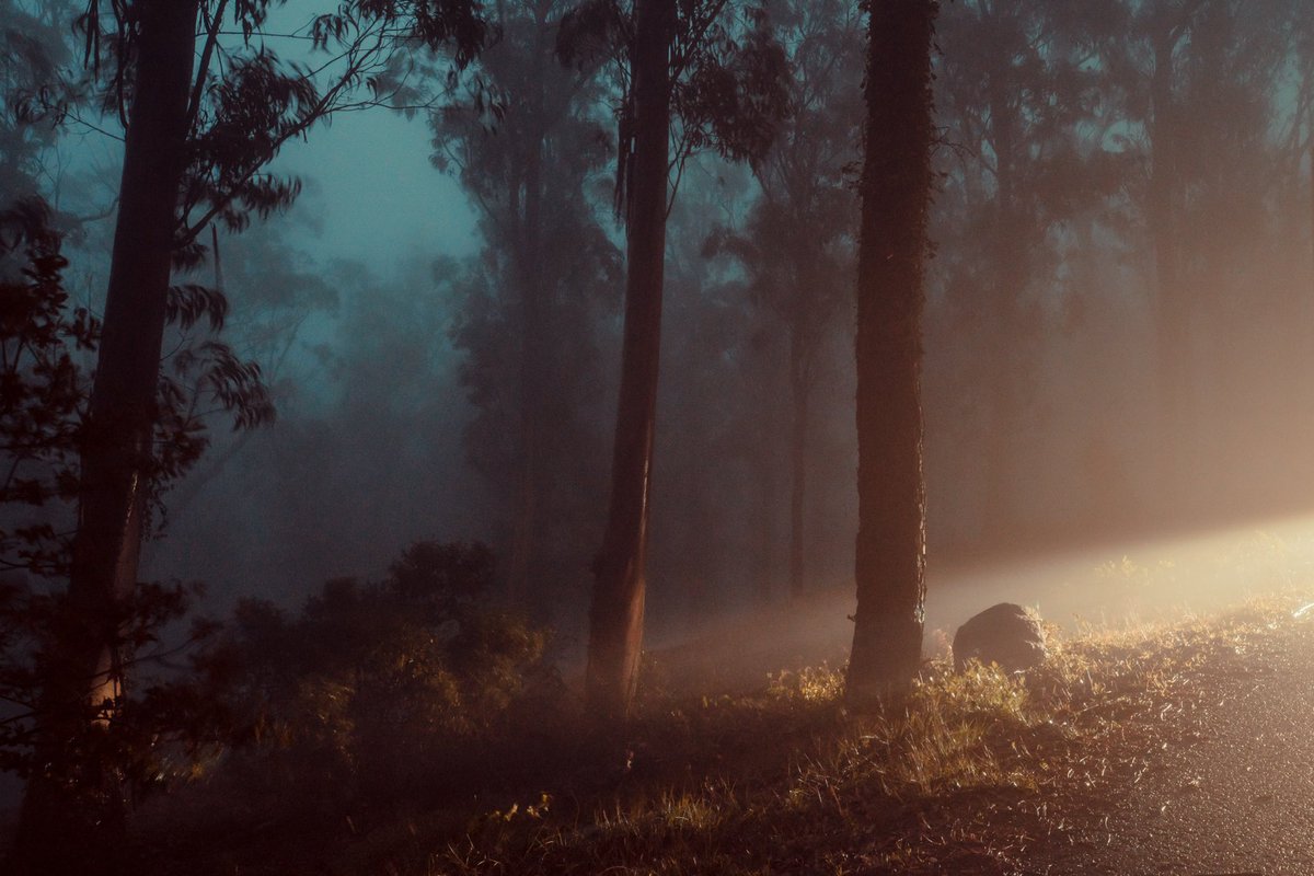 elsableda's tweet image. Some quiet photographs of my most precious places on this earth.