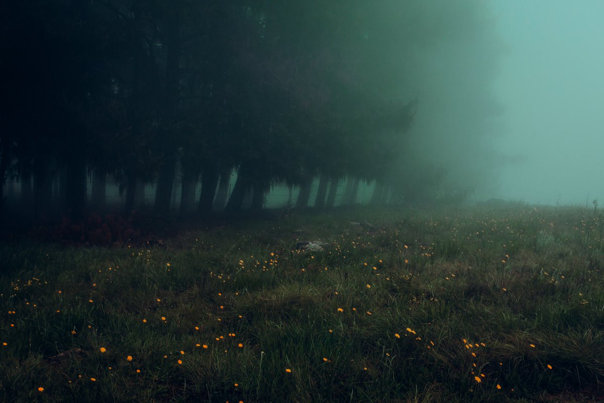 elsableda's tweet image. Some quiet photographs of my most precious places on this earth.