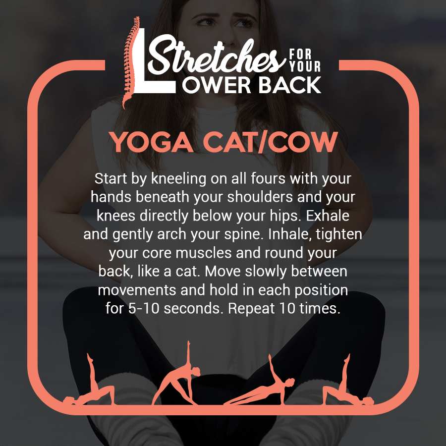 WellSpaSuites's tweet photo. #BackStretches #YogaCat #YogaCow #Selfcare #WellSpaSuites https://t.co/SIwdUqzStO