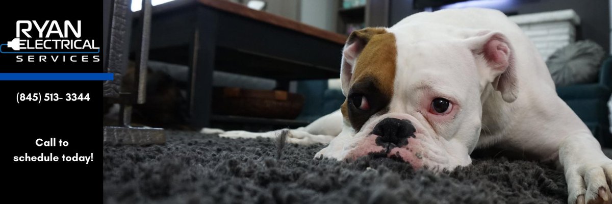 Happy #NationalLazyDay! When it comes to your homes electrical needs, you can sit back, relax and let us do the work. Be sure to give us a call to schedule today (845) 513-3344