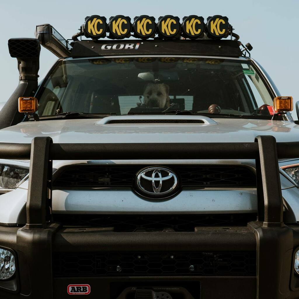 Exploration_Out's tweet photo. Mrs. Marcy is saving your seat. She’s ready for an adventure! #eobuilt #explorationoutfitters 
@meandering_marci @nick_n_marci https://t.co/JQn432PHh6 https://t.co/6hfJcu3gcG