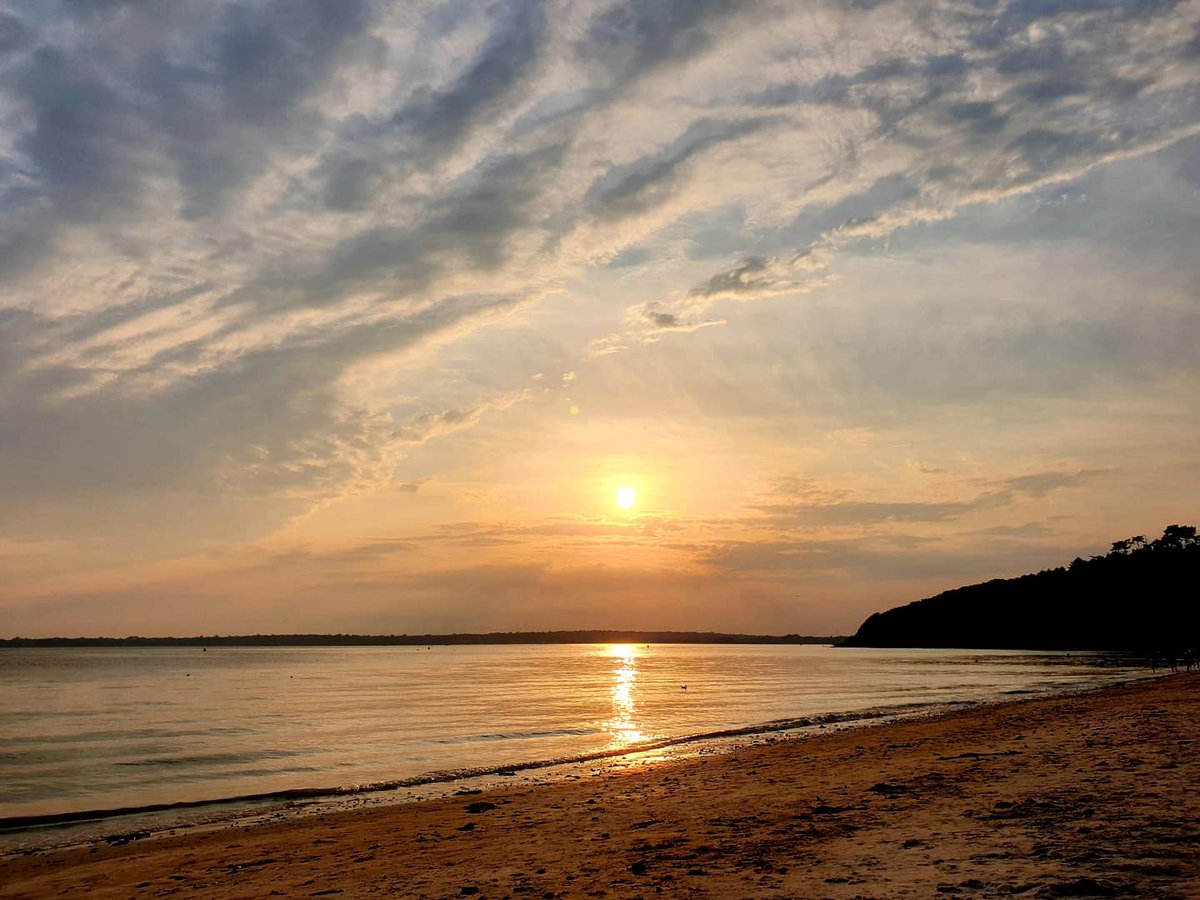 Katia LEFEUVRE tweet media