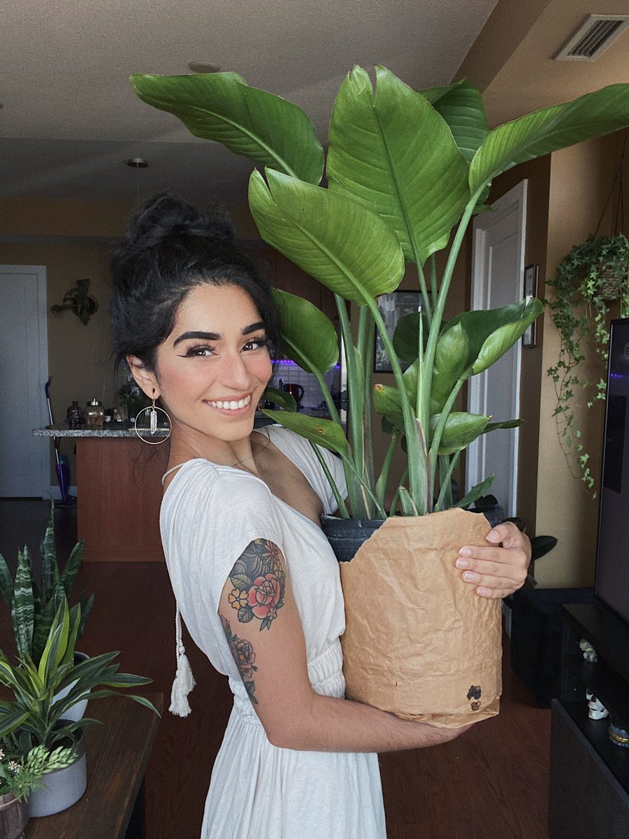 saira 🦇༉‧₊˚. tweet media