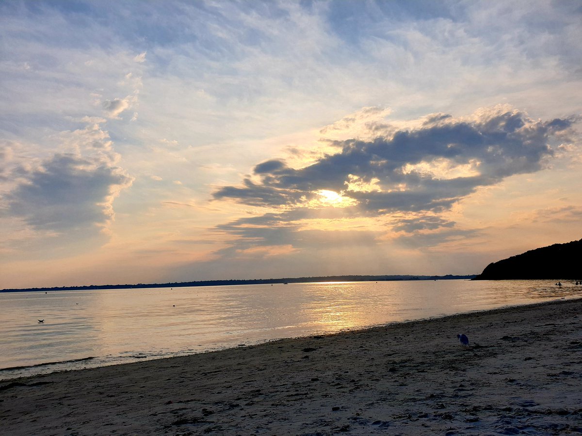 Katia LEFEUVRE tweet media