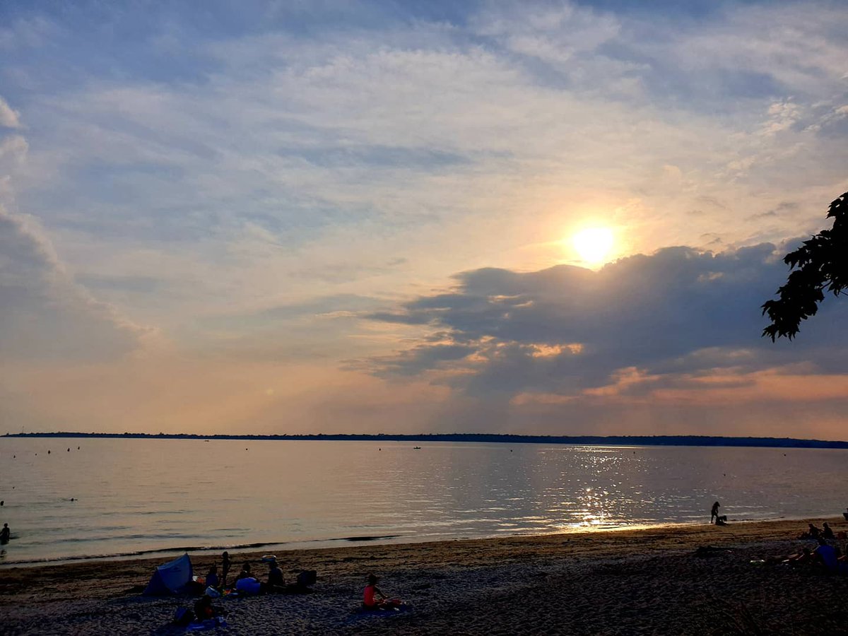 Katia LEFEUVRE tweet media