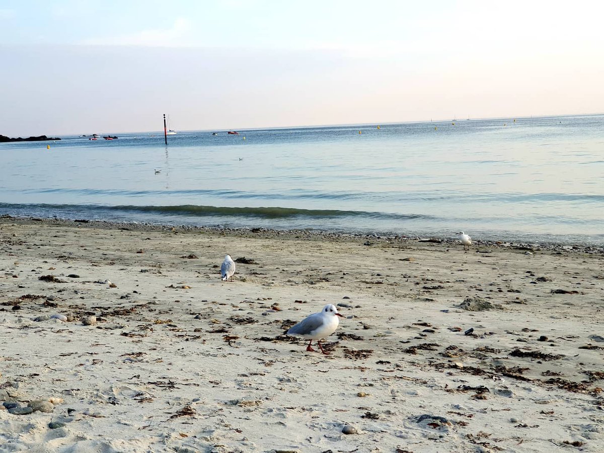 Katia LEFEUVRE tweet media