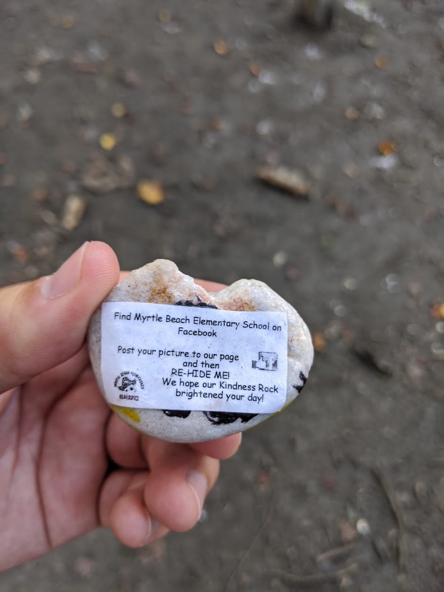 klbarrus's tweet photo. Found a painted/kindness rock in the Hollofield area of Patapsco Valley State Park, and moved it to the Avalon area "hidden" behind the Captain John Smith marker. #MBESeahawks @MBE_Seahawks https://t.co/7AkSn0Kzk6