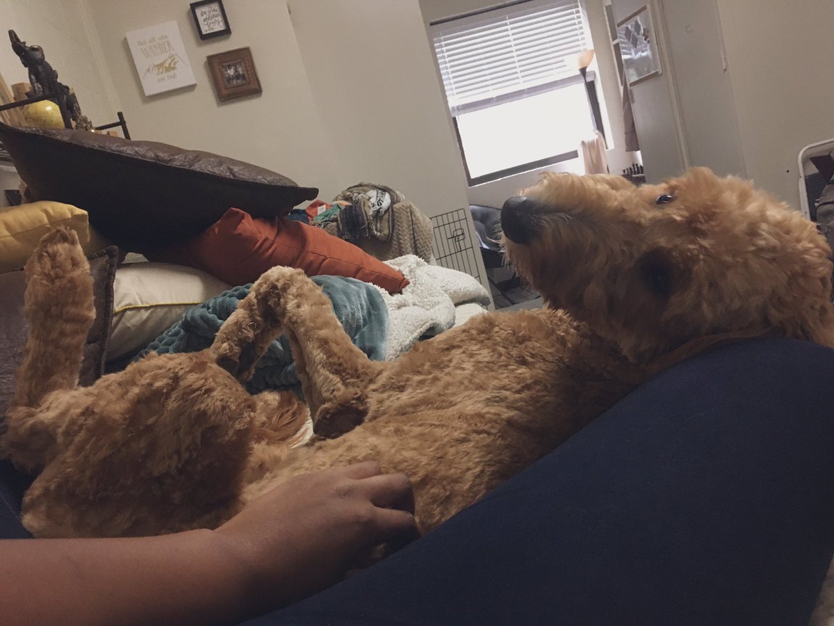 mastewart17's tweet photo. first day vibes with my roll dawg asher.
praying #peace, #prosperity and #power over all of us!
much love for the class of 2021. letโs learn all we can, so we can serve our communities with purpose and understanding!
#weinthis #OU2021 https://t.co/4JquicXacF