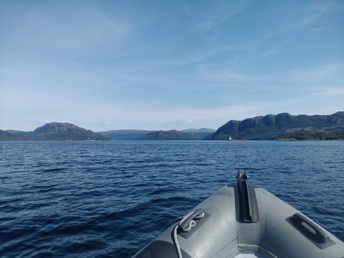 HI_Voices's tweet photo. So this week for work I am in #Plockton on our first #fieldwork for the #summer season. We have a #RIB, #ROV @deeptrekker and a #GAVIA @TeledyneMarine to collect data on #flameshell #beds for Euan's PhD @brydencentre
and @SAMSoceannews you can follow our adventures on@SazReed https://t.co/gNCkkDQjL7