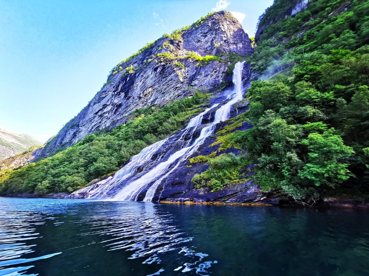 PeterSweden tweet media