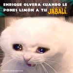 Photo by Cervecería Primus (@PrimusCervecera)