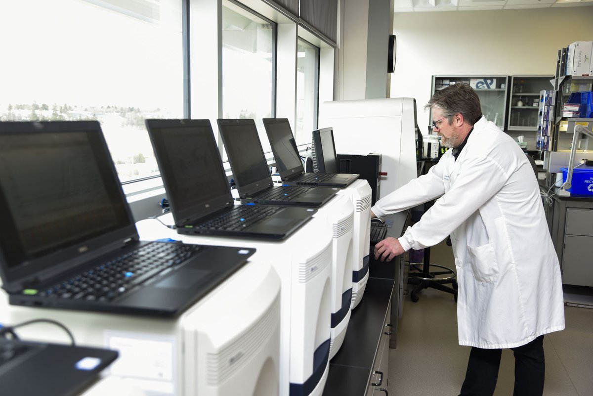 Saskatchewan Health Authority tweet media