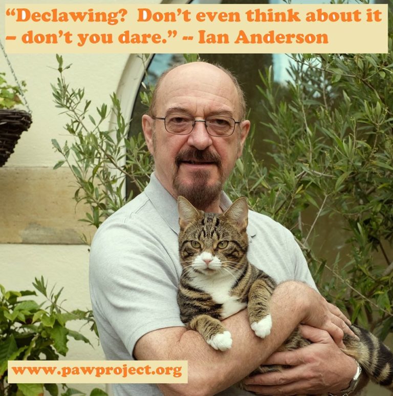 HollywoodDogs's tweet photo. Happy birthday to @jethrotull frontman Ian Anderson! 🎂 In 2016 he joined @pawproject´s campaign to end cat declawing in the state of New York, which would go on to become the first state in the US to ban the cruel practice! https://t.co/Dotr7DRPia https://t.co/JVCVcvhUZB